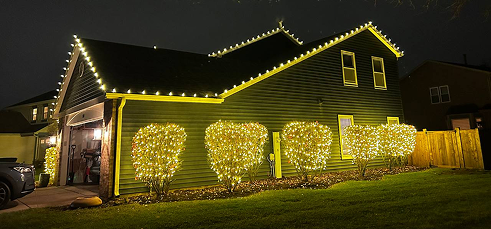 Dark-sided home with bright roofline lights and illuminated front shrubs